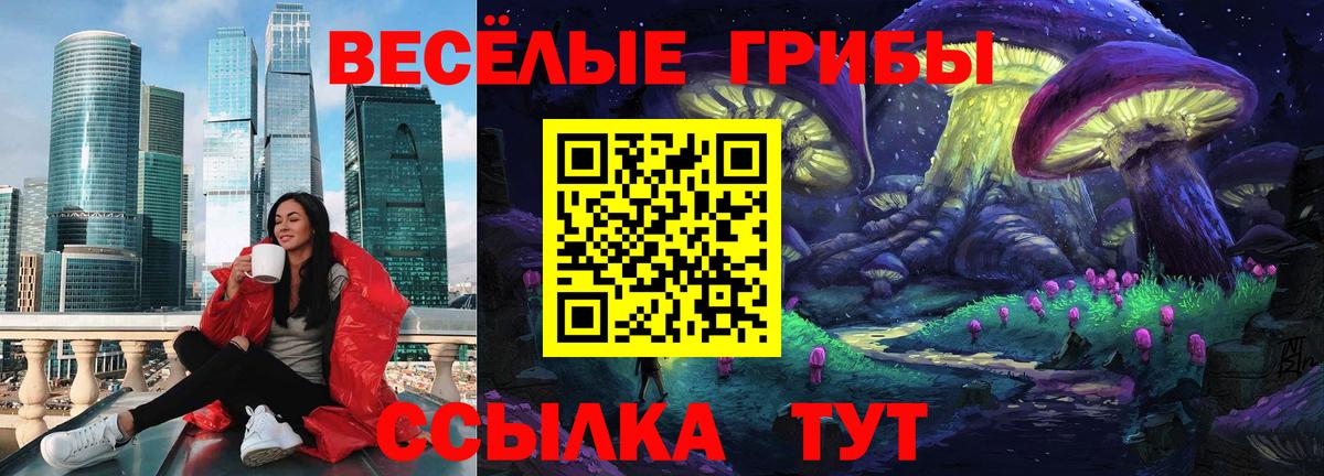 Псилоцибиновые грибы Magic Shrooms  Галлюциногенные грибы GOLDEN TEACHER  Вход с VPN  Туапсе 