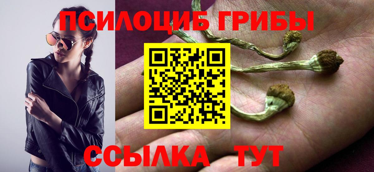 Псилоцибиновые грибы GOLDEN TEACHER Туапсе